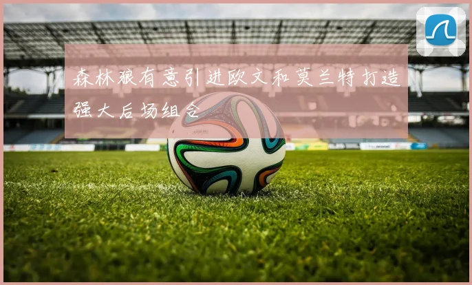 森林狼有意引进欧文和莫兰特打造强大后场组合